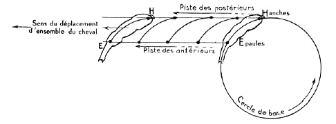 deplacement epaule en dedans